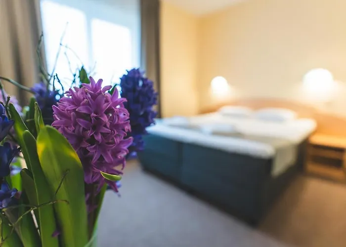 Aribe Klaipeda, Free Parking 3* كلابيدا